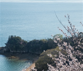 Beach, trees and shoreline on Omishima Island