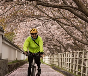 Christine cycles the Blossom in Omishimafuji Park