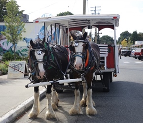 Fancy a carriage ride to see the Chemainus Murals