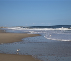 Beach near Ocracoke