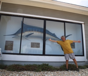 On an outside wall, encased in a glass box, is a world-record, 810-pound blue marlin that was caught on June 11, 1962, off Hatteras Island. The world record has since been broken