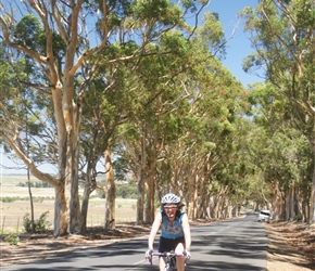 There wasn't a lot of shade in South Africa, but this was welcome as Lynne passes a line of eucalyptus trees