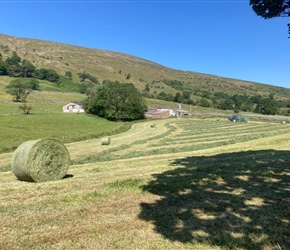 Large Bale Hay Making